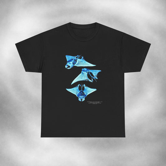 MANTA X-RAY | Graphic Tee